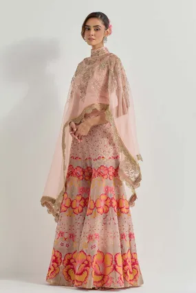 Raeth Pink Organza Embroidered Cape & Sharara Set