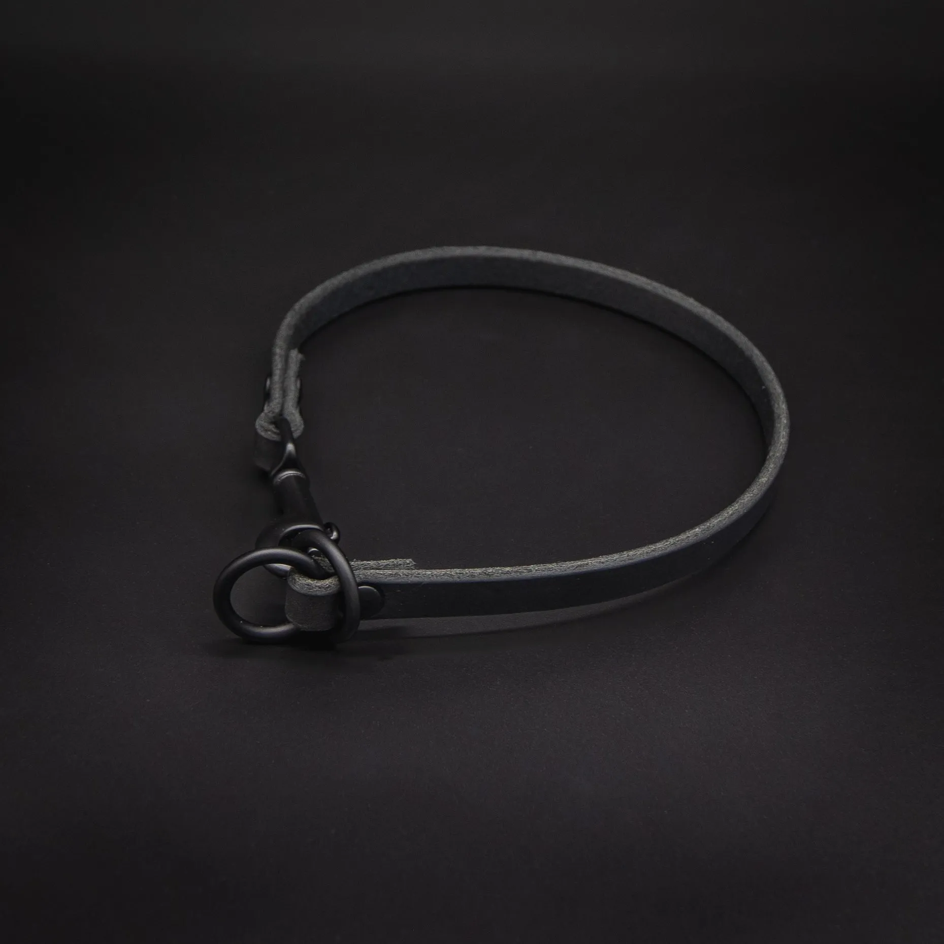 TGR Dominant Dog Collar