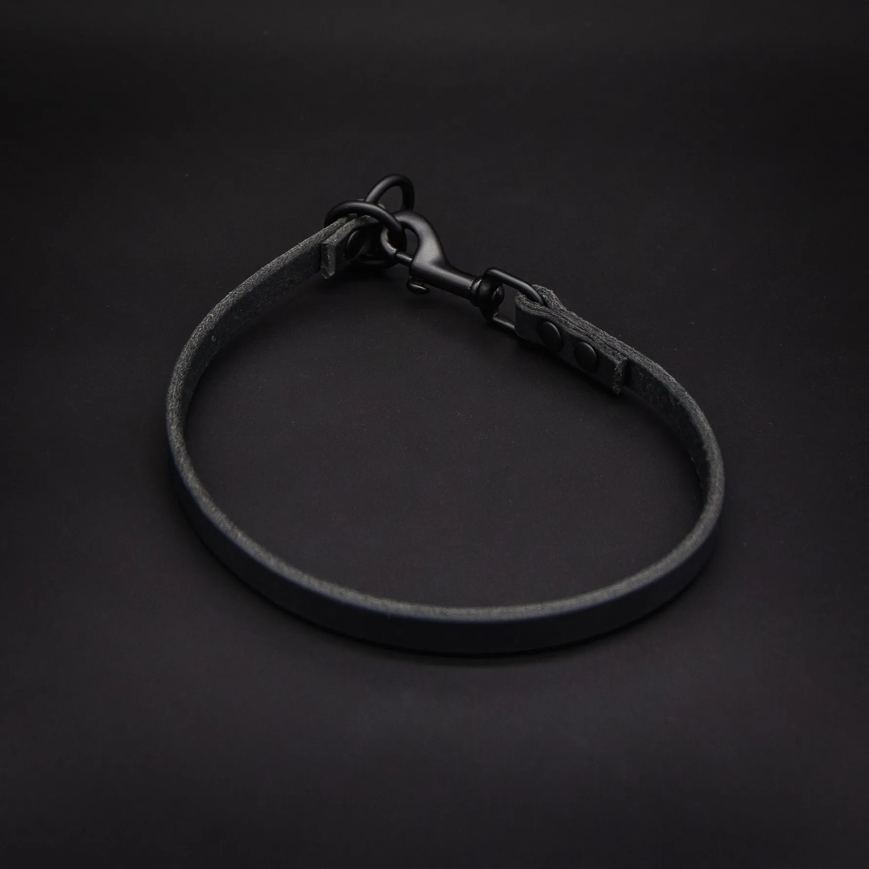 TGR Dominant Dog Collar