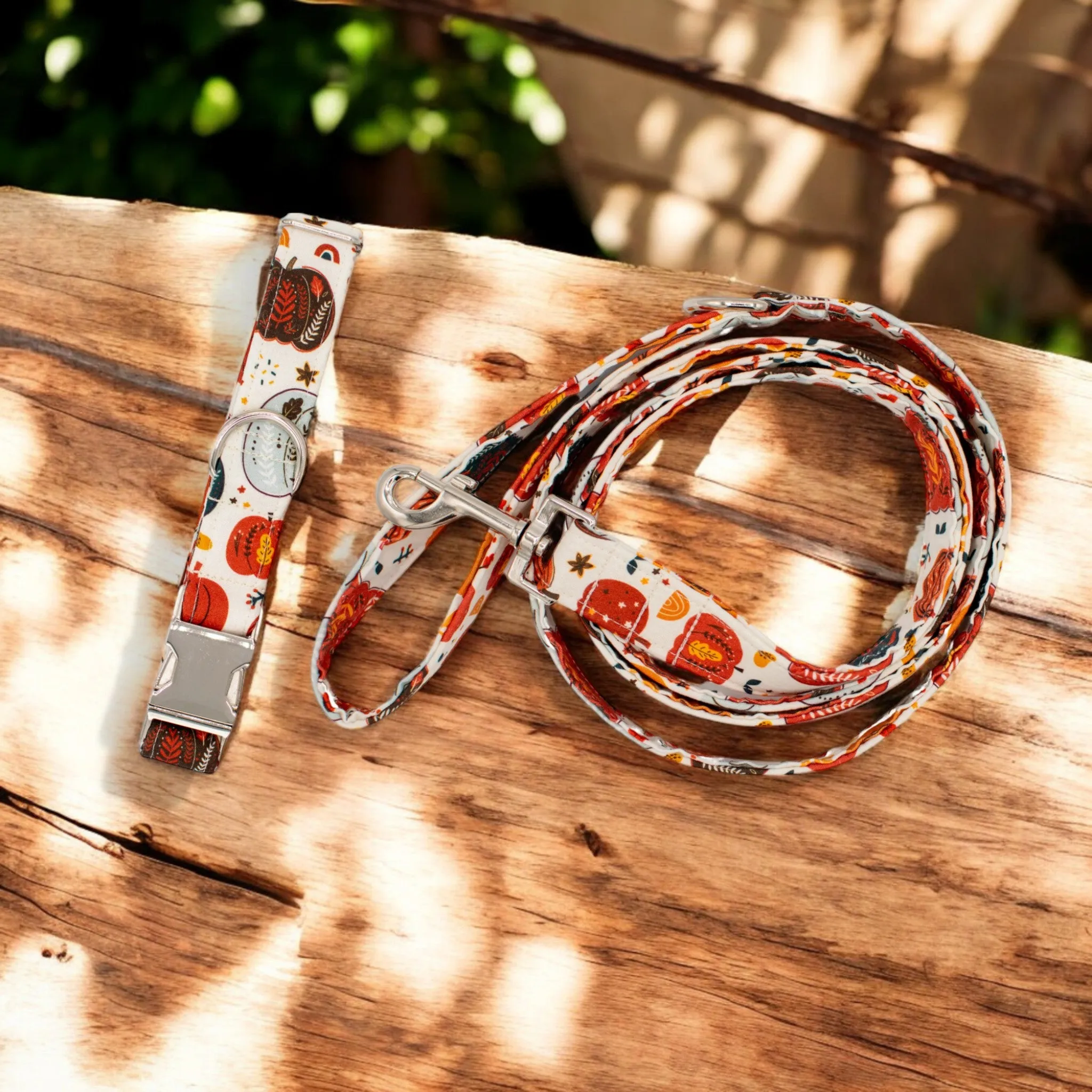 Vintage Pumpkins | Collar and Leash Set