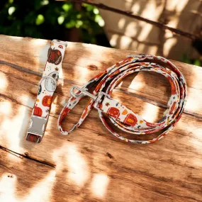 Vintage Pumpkins | Collar and Leash Set